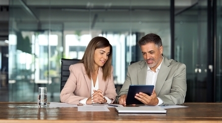 IT Consulting - Business professionals in meeting